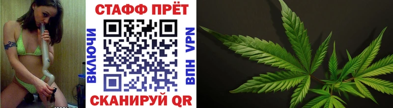 Наркотические вещества Покров A PVP  Кокаин  ЭКСТАЗИ  Канабис  ГАШИШ 