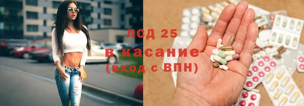 дмт Алзамай