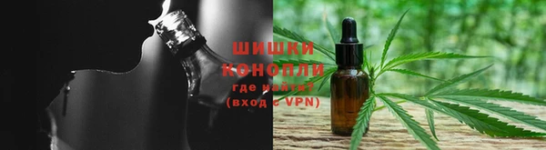 гидра Алексеевка